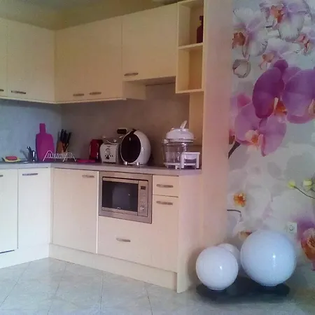 2bedroom Xlargedeluxeduplexes In Panoramic Roof Apartment *